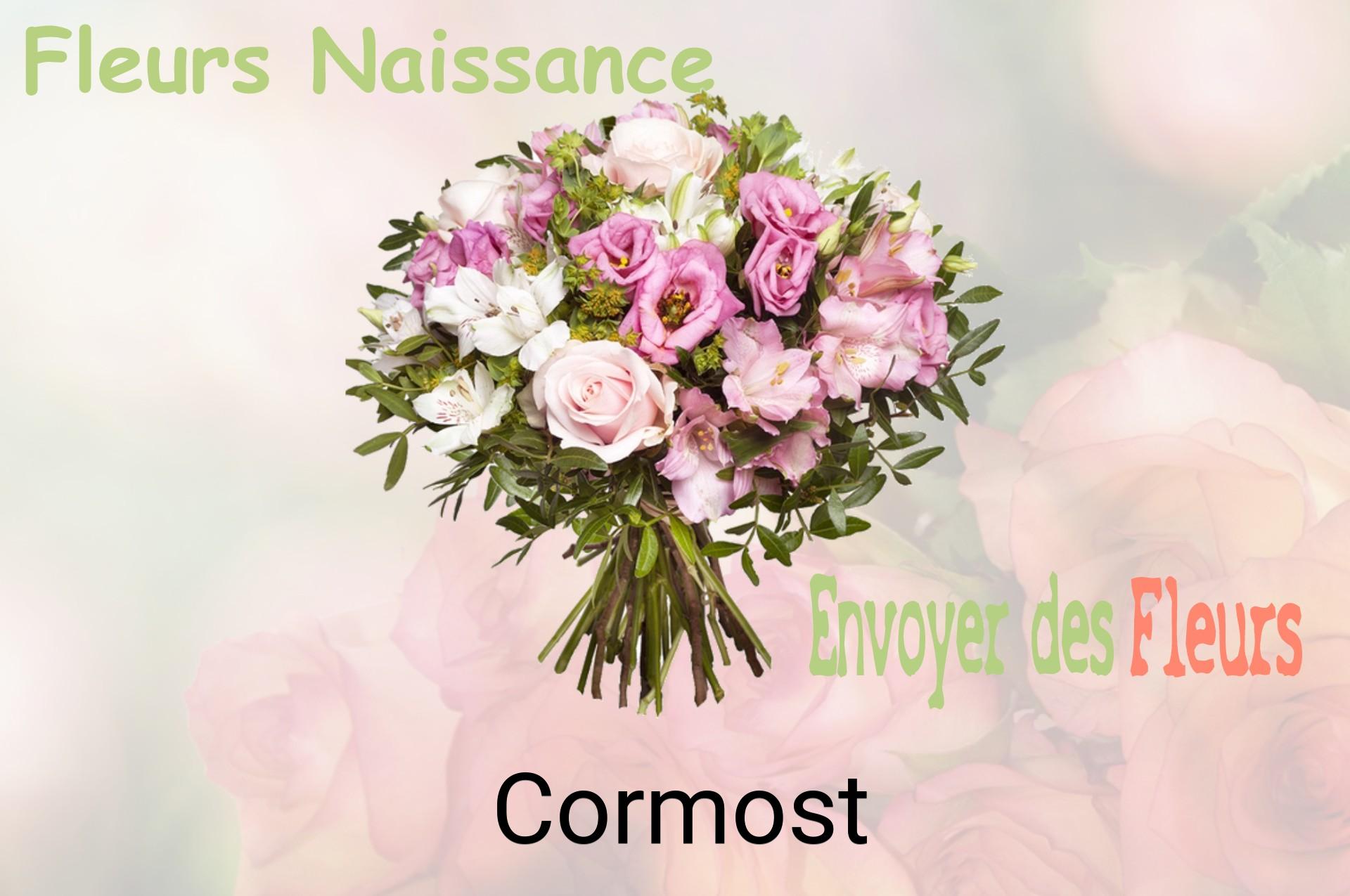 Bouquet de fleurs de naissance livré à Cormost